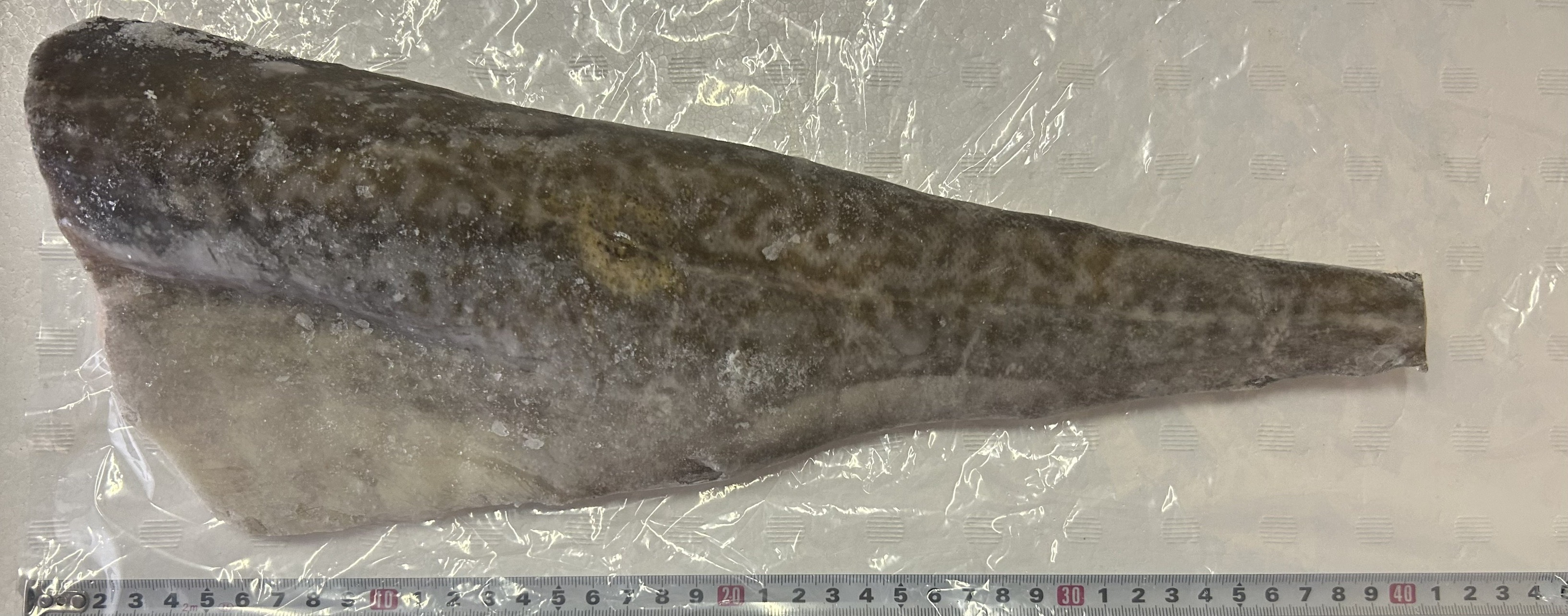 冷凍　骨取真鱈フィーレ 11-15枚/10KG