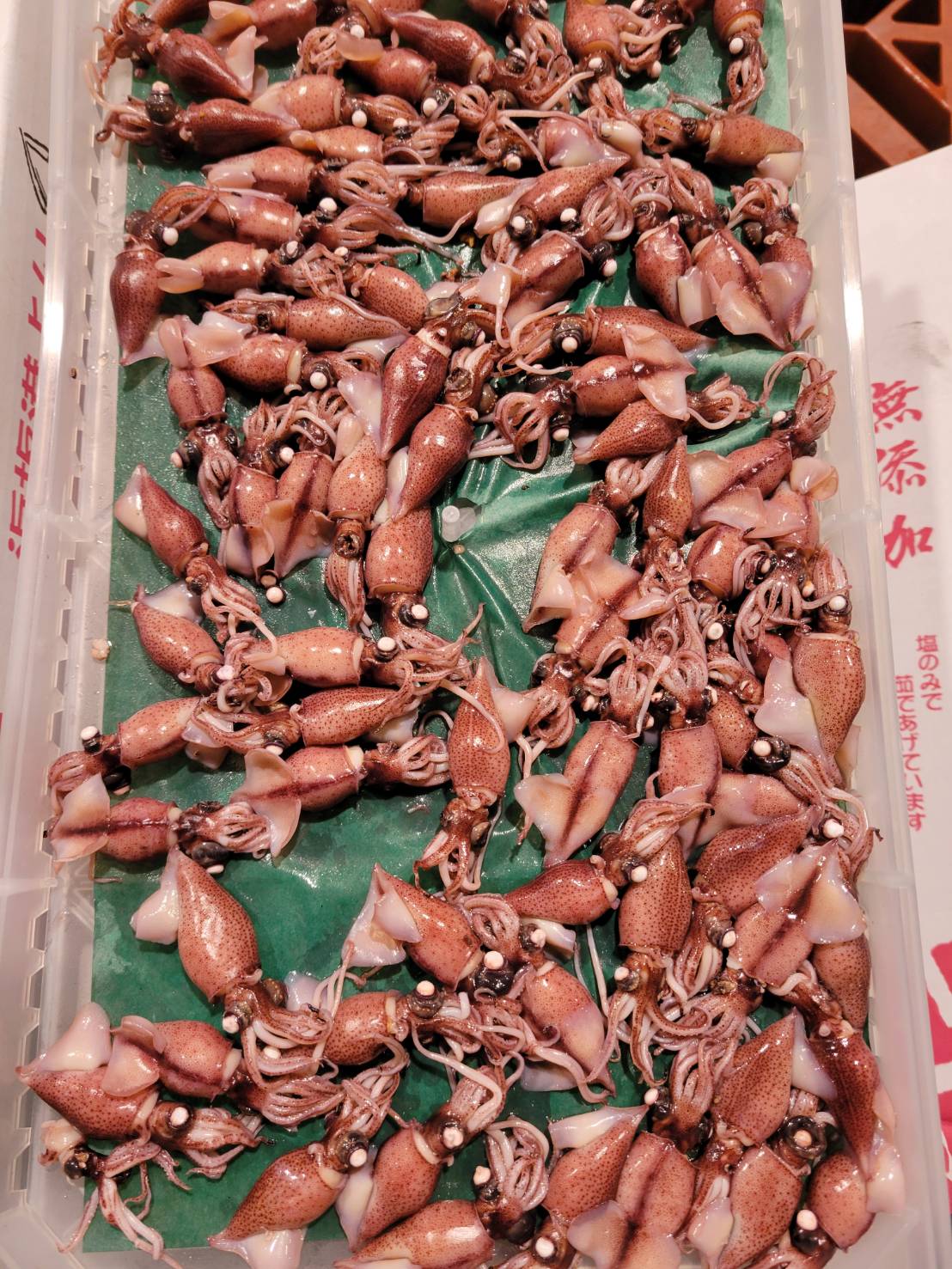 ボイルホタルイカ平折　300G