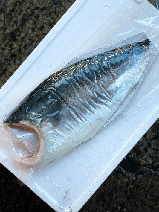 養殖ブリフィーレ（大分他）約0.8/1.8K