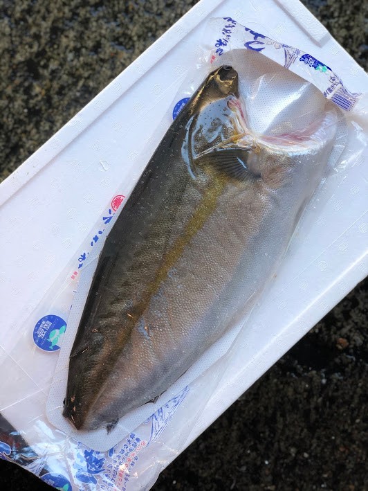 かんぱち(鹿児島他)フィーレ　0.7-1.2K