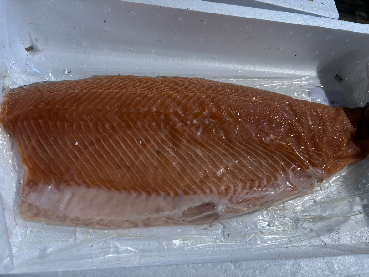 アトランティックサーモンフィーレ