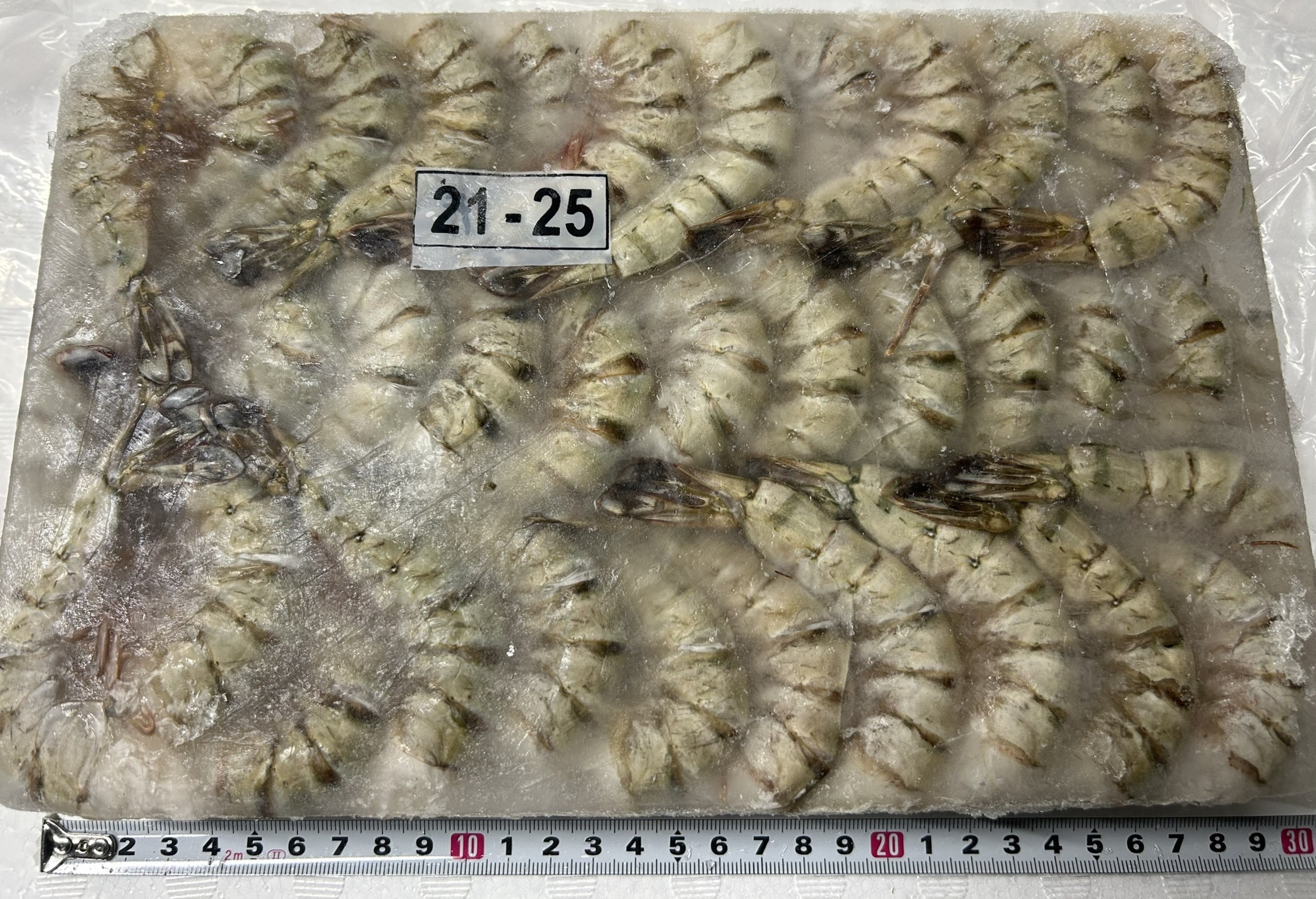 冷凍ブラックタイガー無頭　21/25 並品