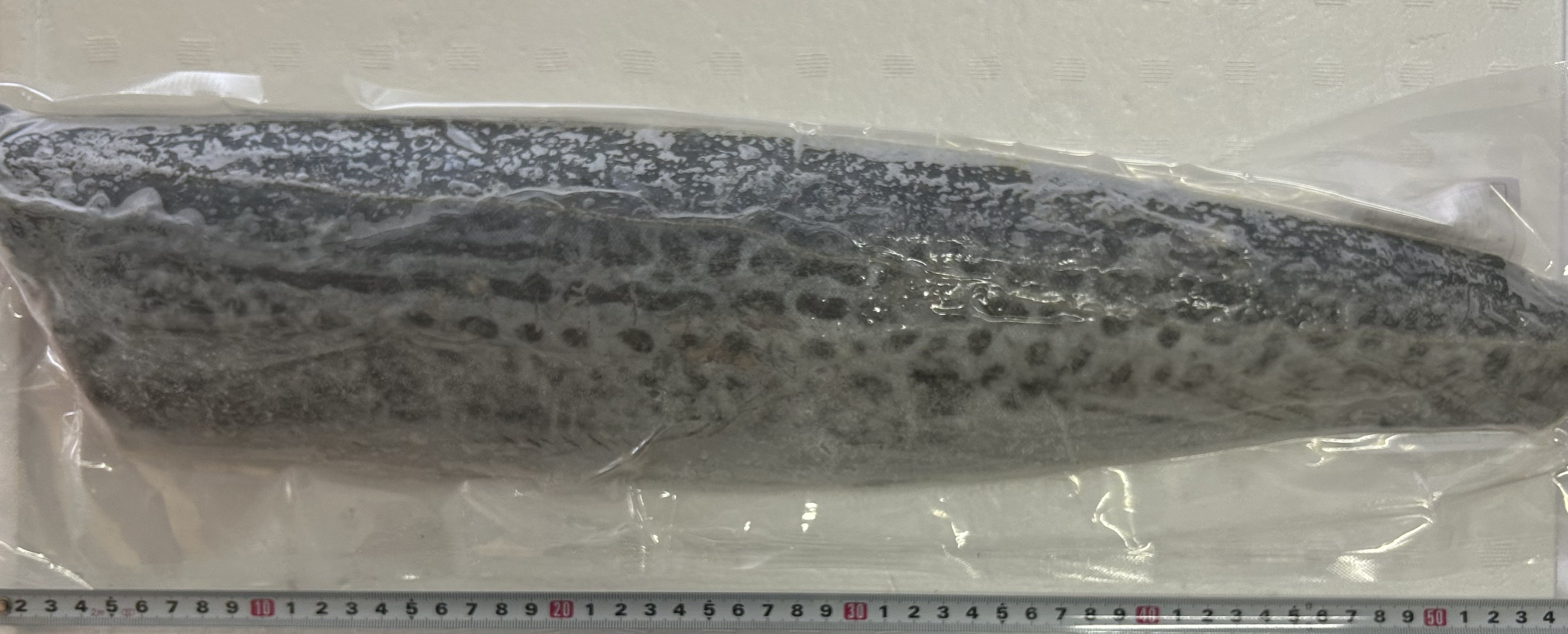 冷凍さわらフィーレ(韓国産)1000/1200