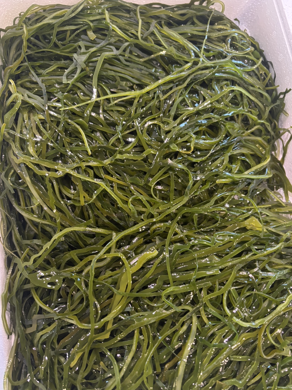 切り昆布（岩手）