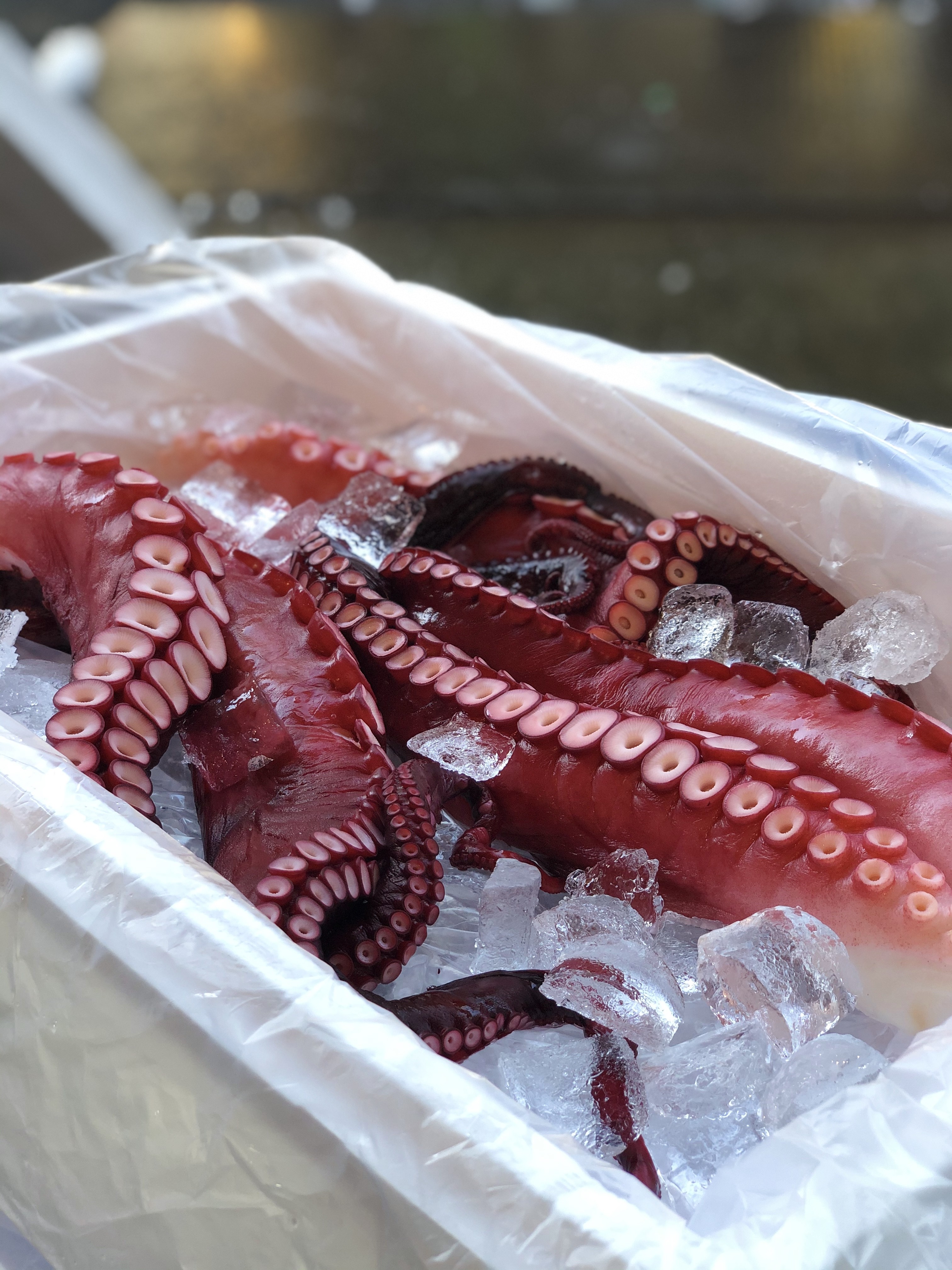 ボイル北海たこ(北海道)足