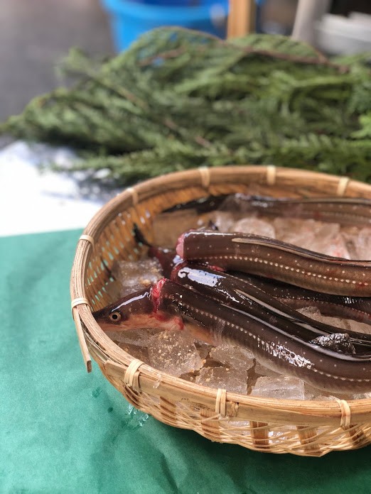 活〆穴子(宮城他)