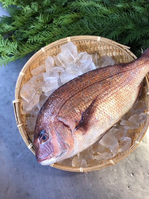 野〆養殖真鯛(愛媛他)　KG　　　　　ﾀｲ