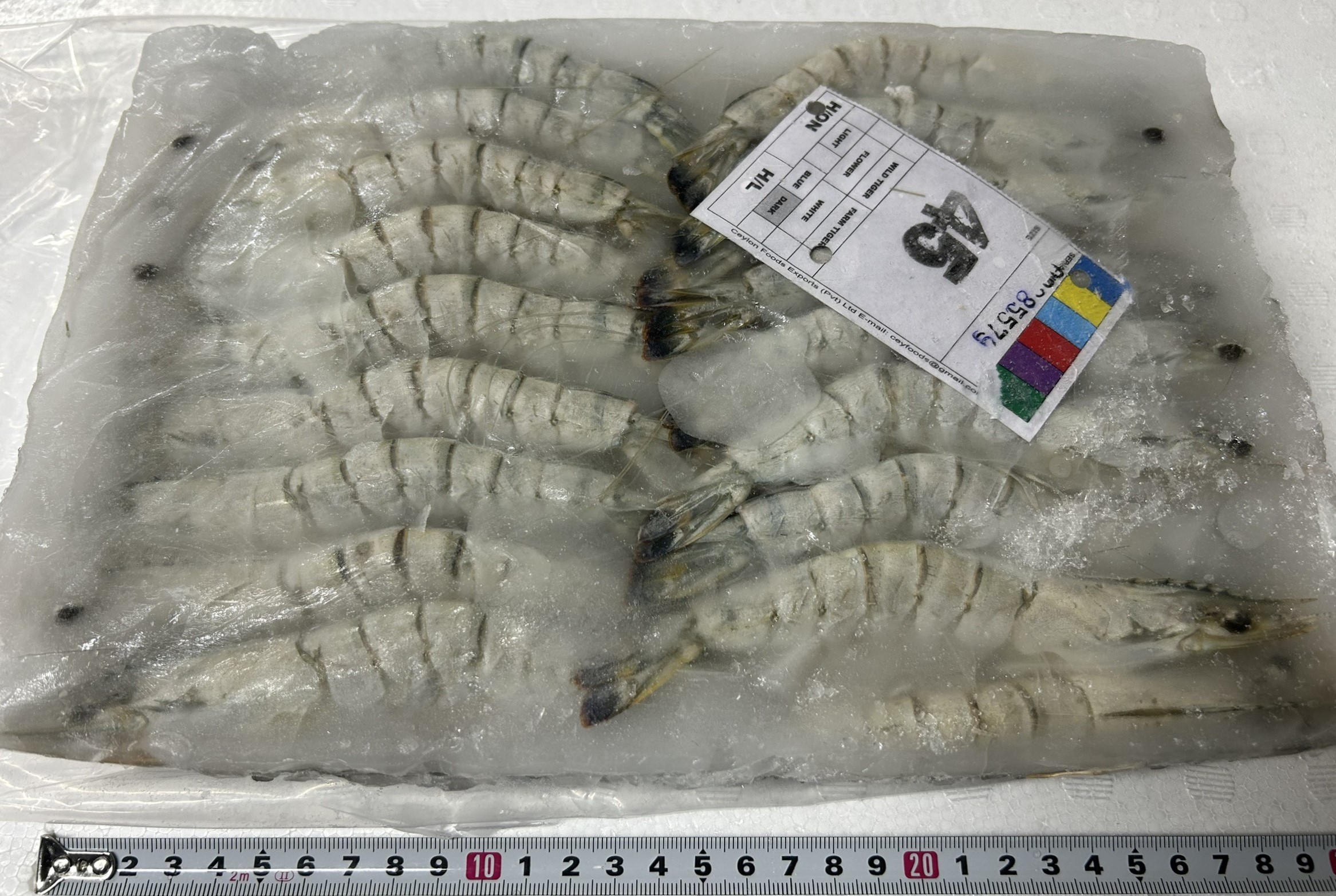 冷凍ブラックタイガー有頭　45尾　ｴﾋﾞ