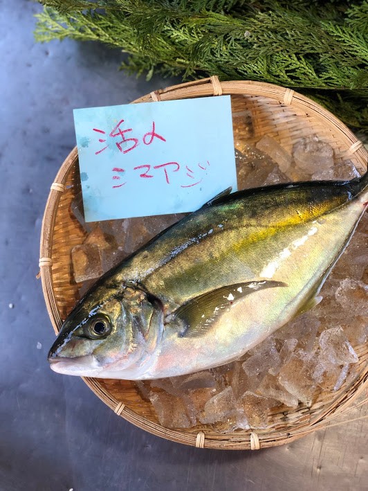 活〆養殖シマアジ(愛媛他)　KG
