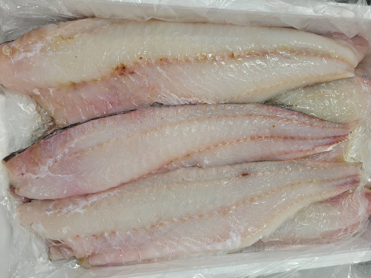 生タラフィーレ(北海道産)