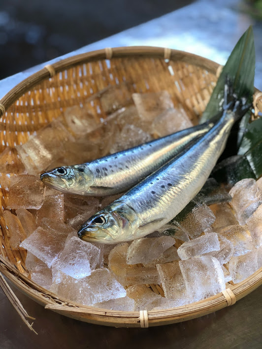 真イワシ(北海道他)定置網　約100/120G