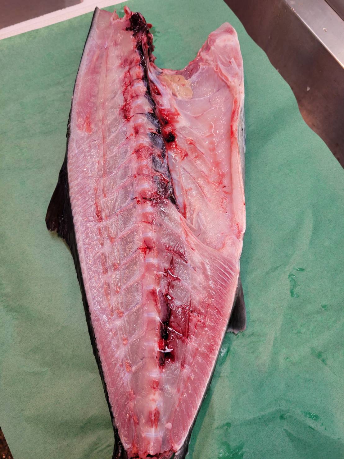 活〆養殖ハマチ(鹿児島他)半身