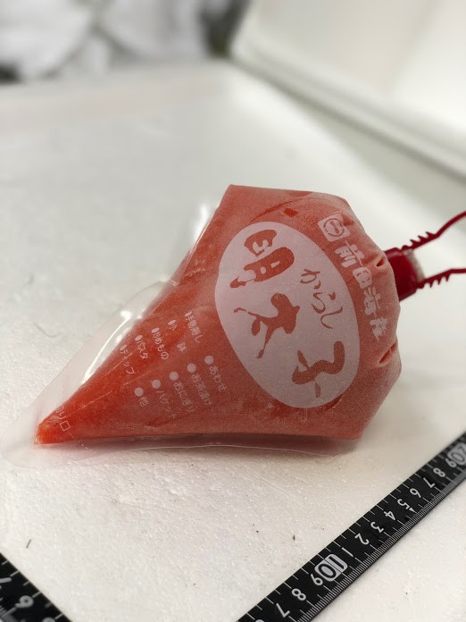 前田海産 からし明太子チューブ 500G