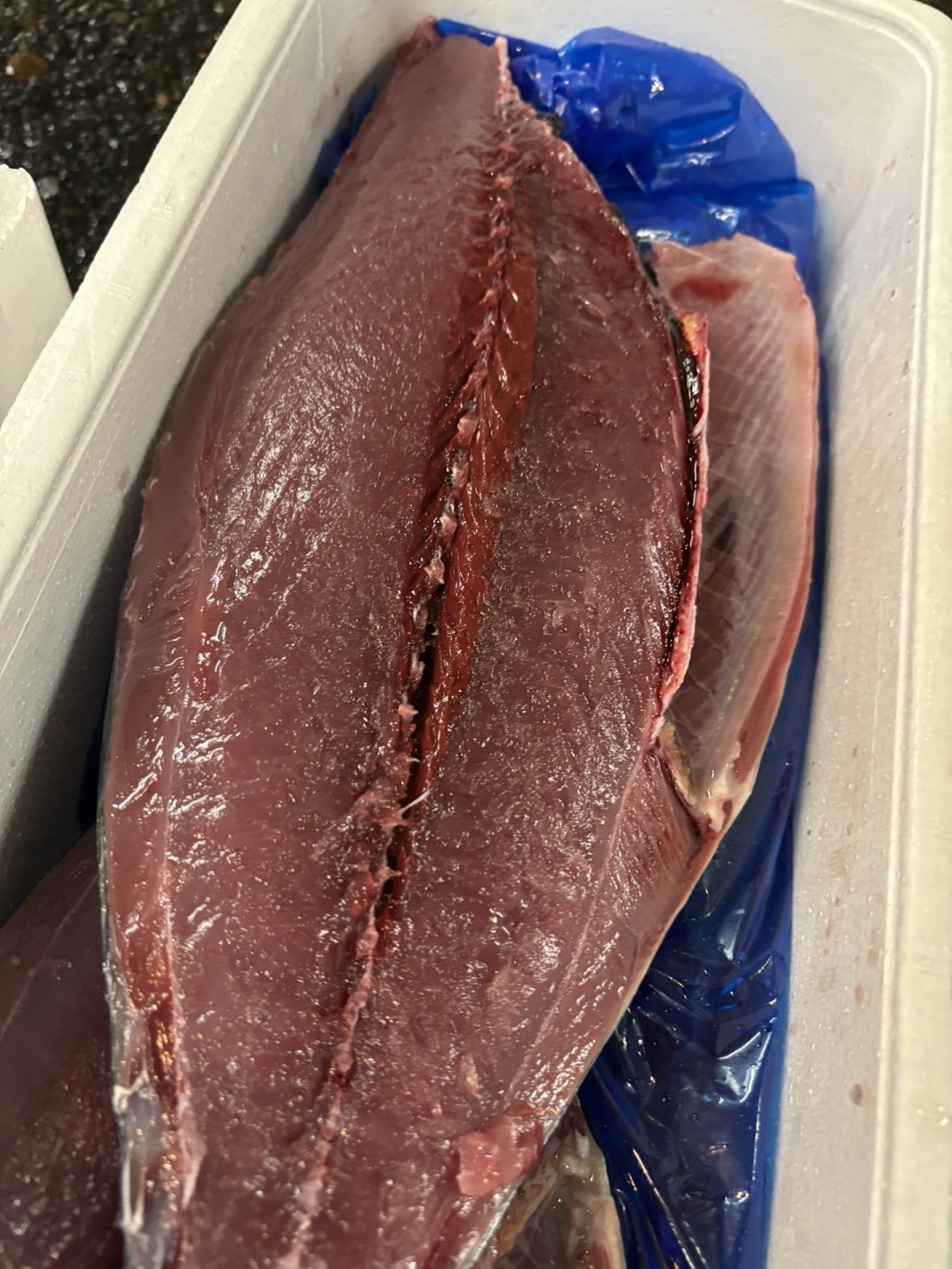 カツオ(千葉他)釣　半身