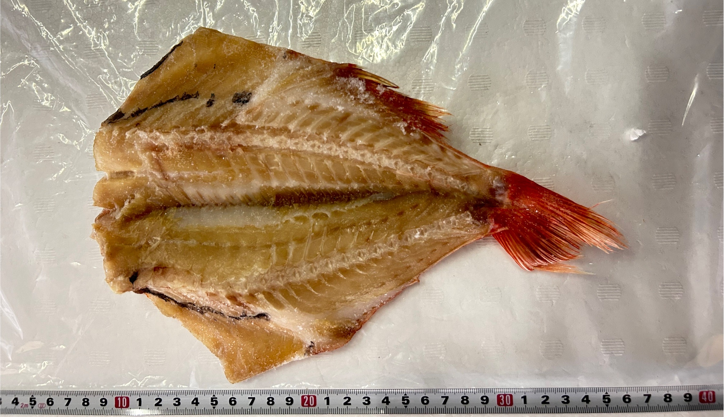 森田　赤魚開き(アメリカ産)　赤テープ