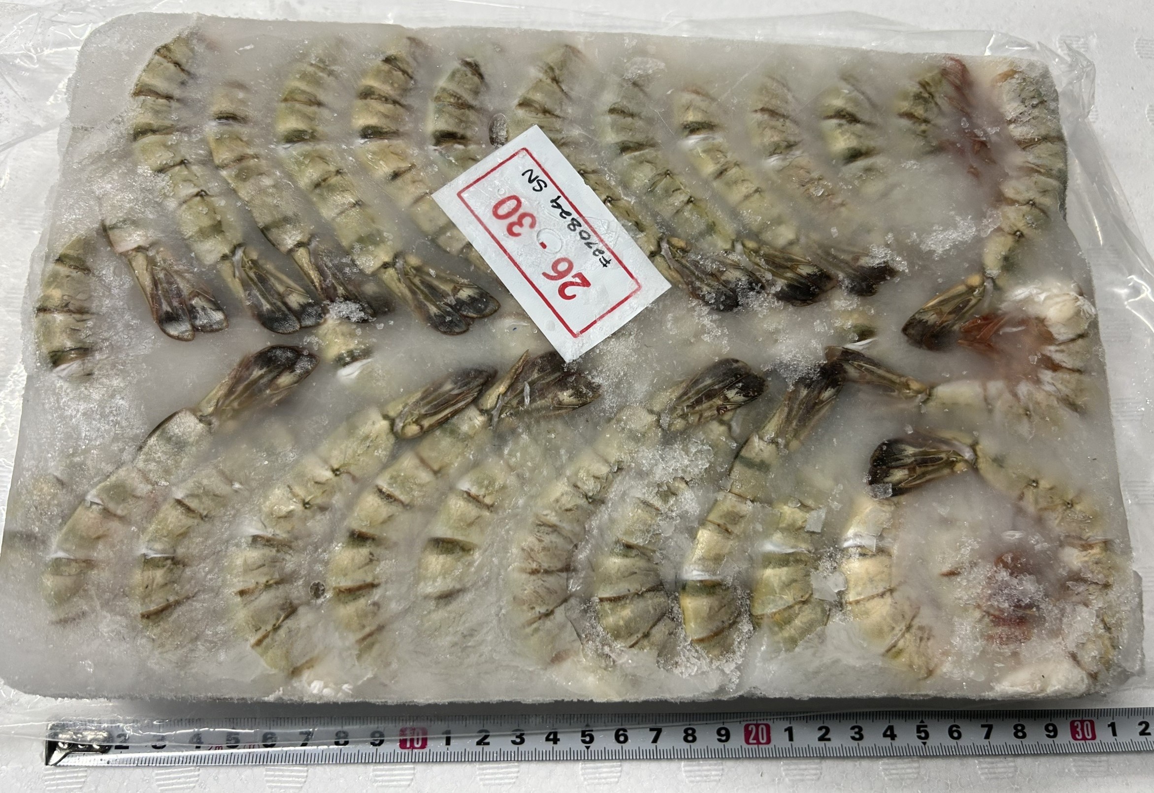 冷凍ブラックタイガー無頭　26/30 並品