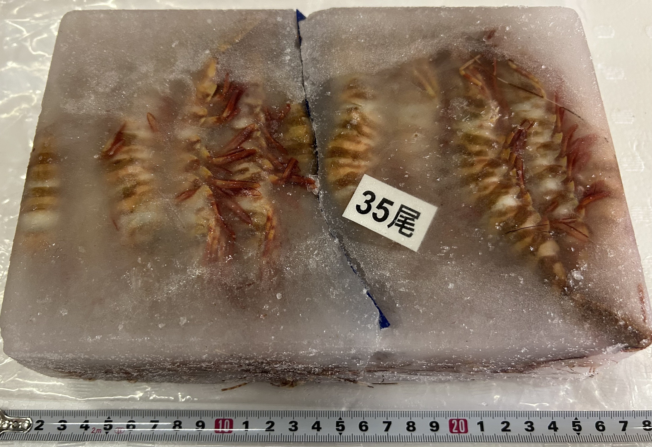 くるまえび科お刺身天然海老　1KG/35尾