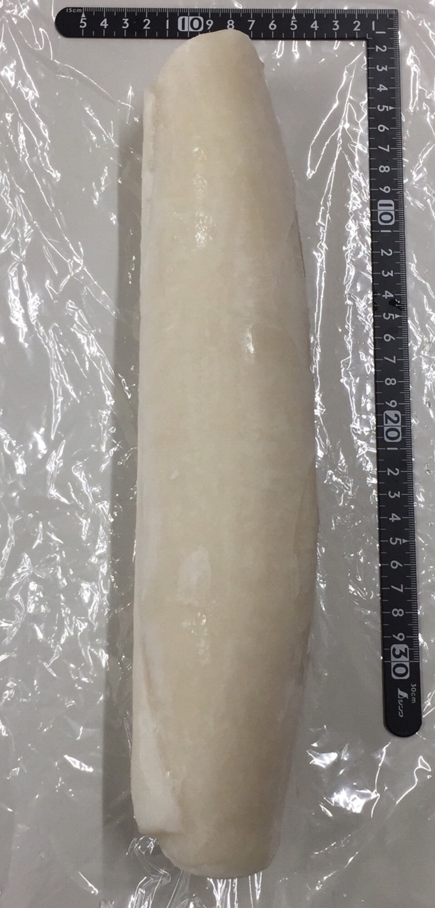 ロールイカ(ペルー産)加熱用 5尾/5KG