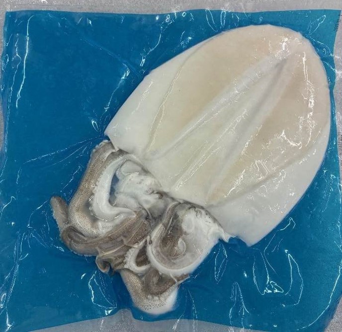 そのままｱｵﾘｲｶ(生食用)L(6-9尾/約6KG)